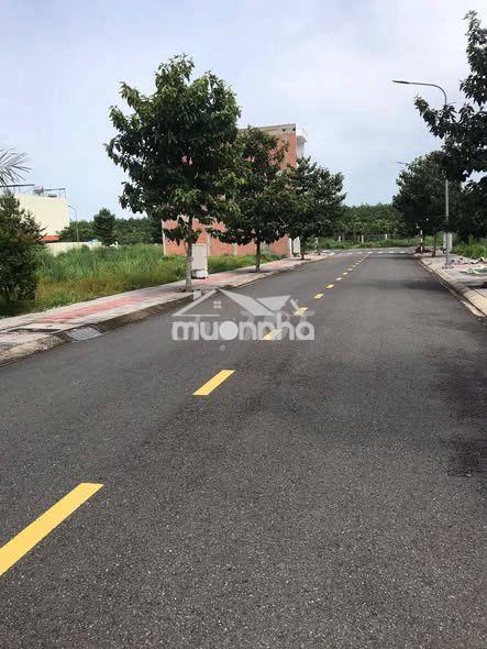 Chủ kẹt tiền ra gấp lô đất 1400m2 sau lưng chợ chính trường học kcn - Ảnh 3