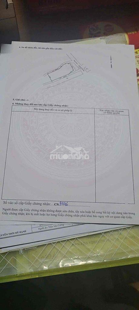 Mt nhị bình 700m2 bùi công trừng 5,5tr/m2 - Ảnh 3
