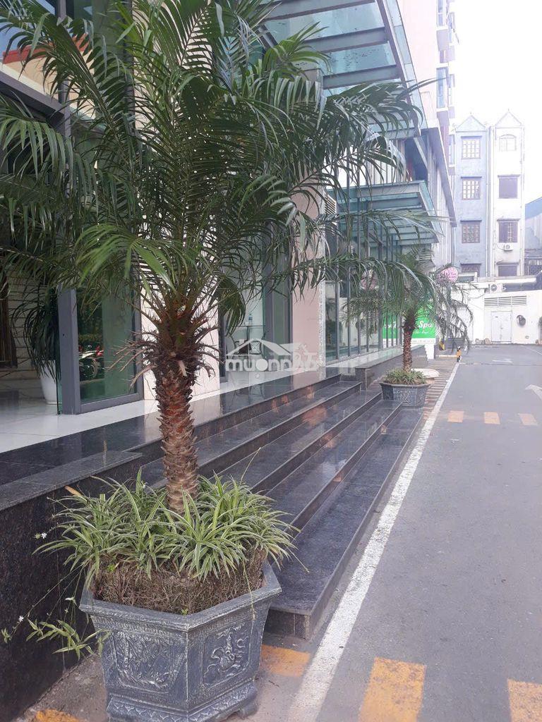 Vị trí đỉnh cao -cho thuê shop, văn phòng tòa nhà one18 long biên - 3