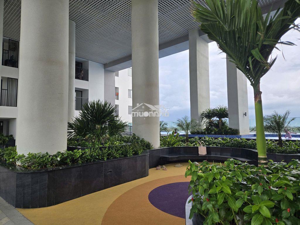 Cho thuê căn hộ 1pn 1wc 46m2 chung cư the maison giá 4,5 triệu/tháng - Ảnh 2