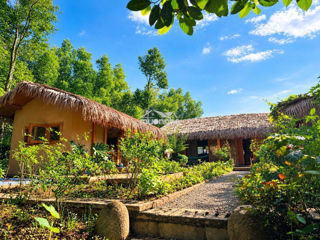 Chính chủ cần bán nhà vườn view hồ hóc khế, hòa vang, đà nẵng - Ảnh 2