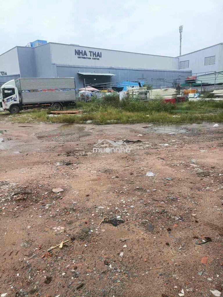 Cho thuê đất đẹp tại xa lộ hà nội gần ngã tư thủ đức 2600m/40tr - Ảnh 4