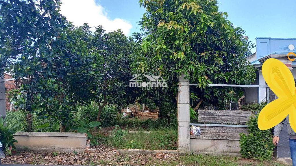 Đất đẹp xã xuyên mộc tp.hồ chí minh - 3