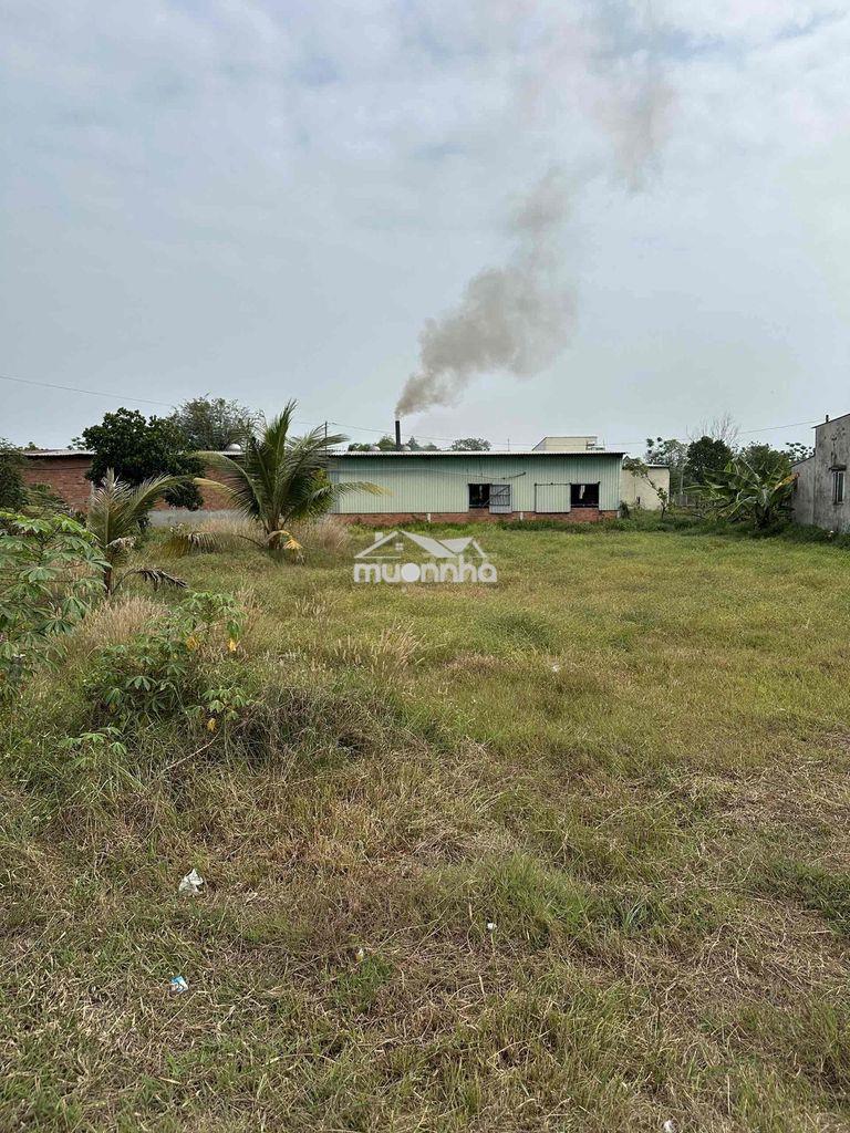Bán lô đất đường lê thị siêng,cạnh vinhomes hốc môn,xã tân an hội - Ảnh 3