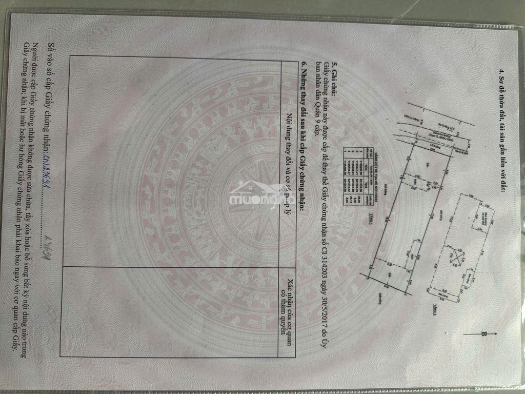 Bán nhà biệt thự phố - Ảnh 3