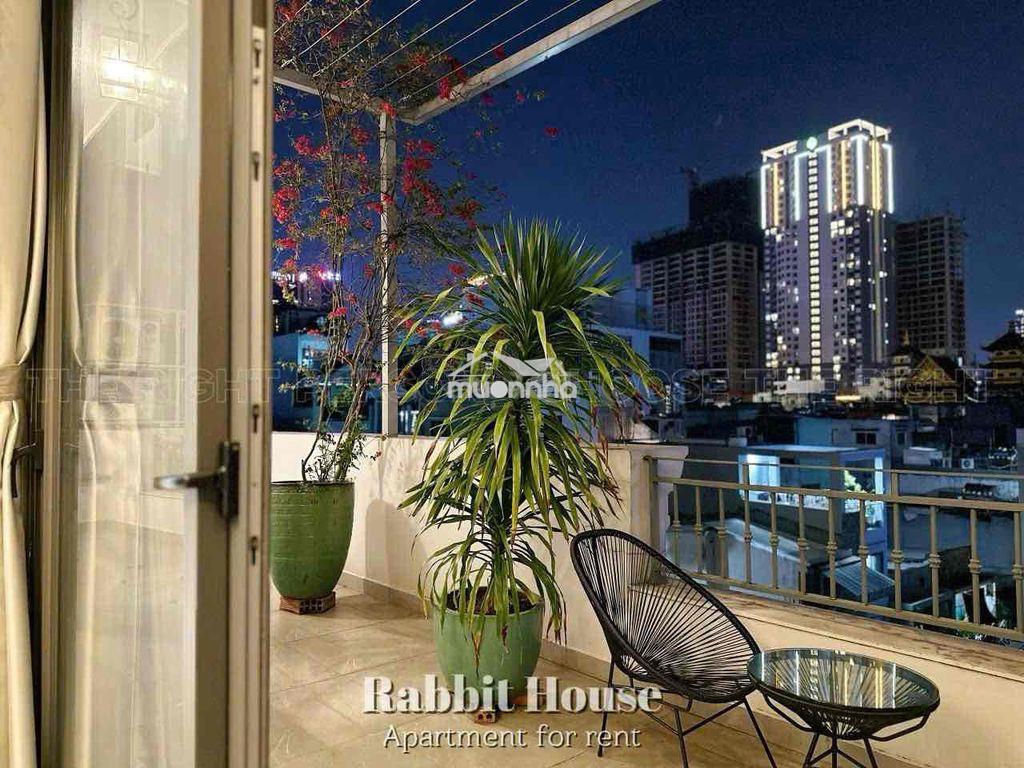Penthouse toạ lạc tại trung tâm quận 1 - Ảnh 2