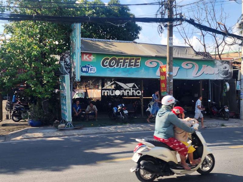 Sang quán cafe và cho thuê mb 500m
