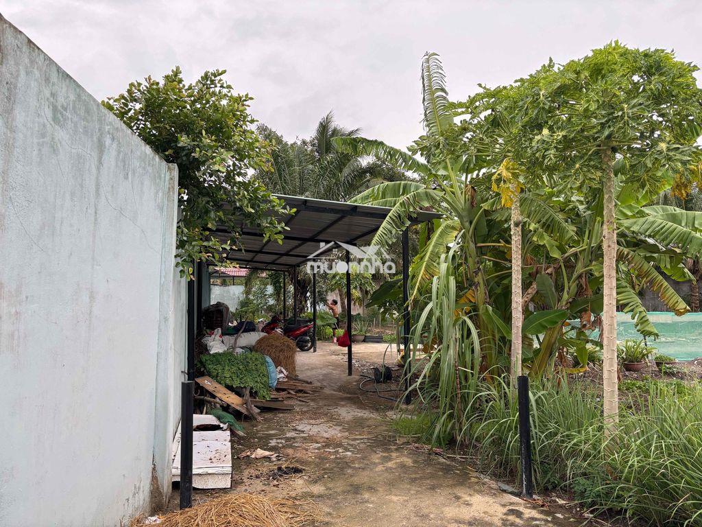 Bán đất ở đường gò xoài (sát bên waterpoint) - 2