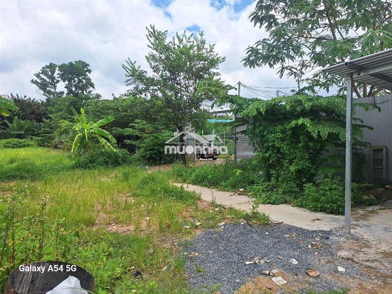 Hẻm xe hơi dtsd 150m² trệt trống suốt sân trước sân sau cổng rào đđ