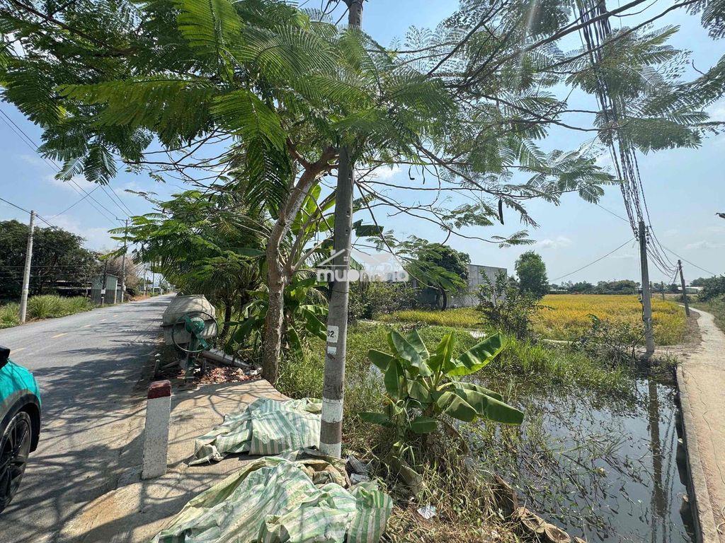 Cần bán mt kênh 19/5,gần trạm y tế tân lân, trường học th & cơ sở - 2