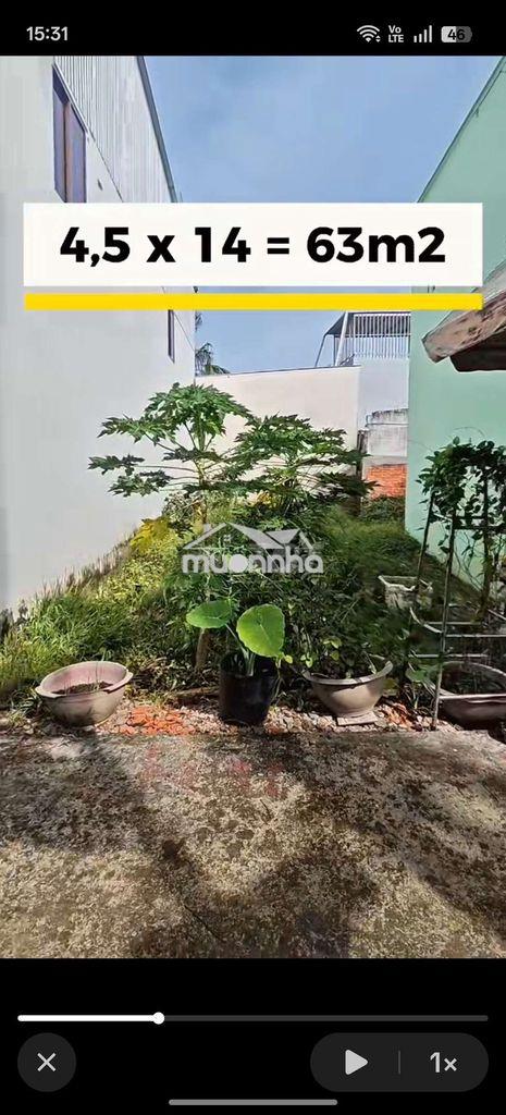 Đất công chứng vi bằng - Ảnh 2
