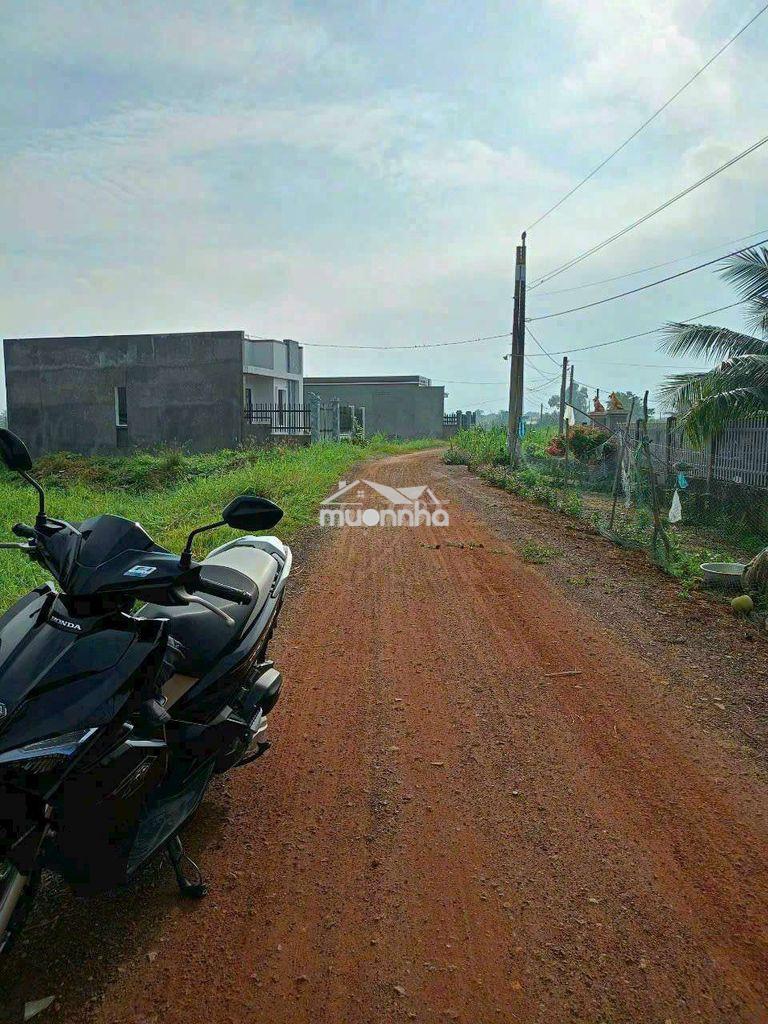 2,5 công đất mt đường nguyễn văn quá, lợi bình nhơn tp tân an - Ảnh 2
