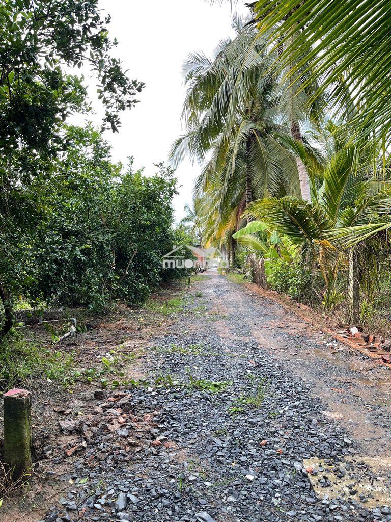 Bán đất long hưng, tiền giang, đồng tháp. 17,56mx 27m= 474m, đường ôtô - 2