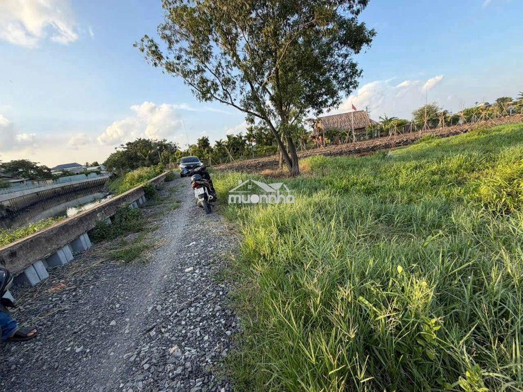1300m2 đất nông nghiệp nguyễn thị ngâu vài 100m, chỉ 2.99 tỷ - Ảnh 2