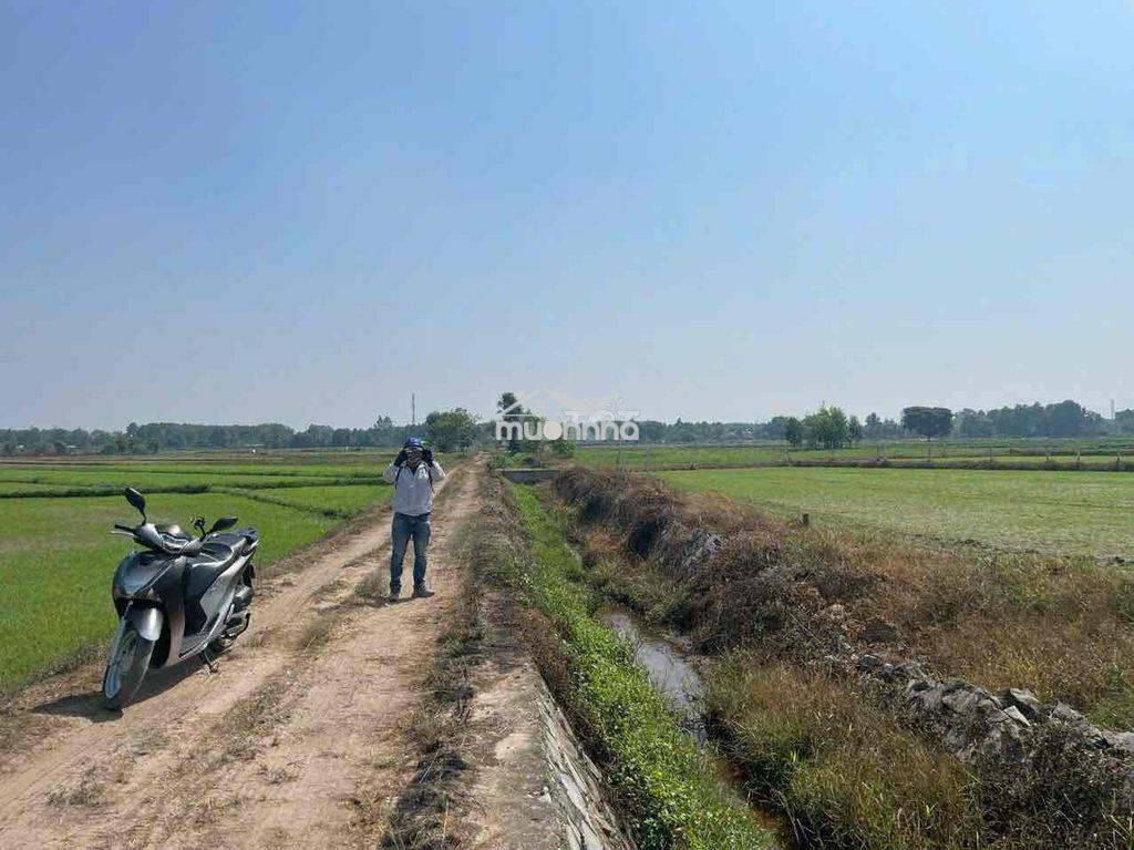 Ngộp ngân hàng xả rẽ - Ảnh 3