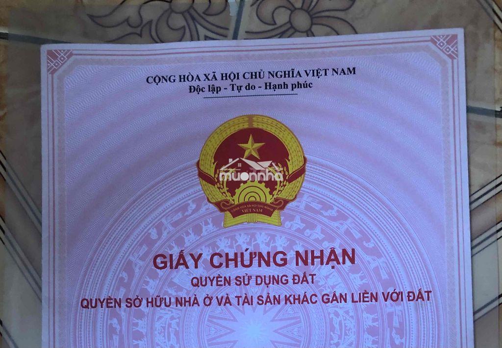 Bán đất 1000m2 huyện bình khánh , cần giờ - Ảnh 3
