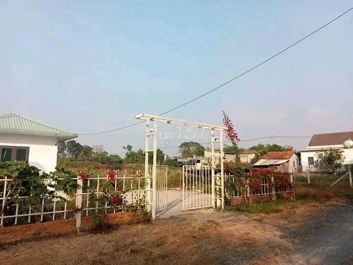 Ngộp! bán lô đất tặng nhà mt đường xe tải, dt 1.036m2, full thổ - Ảnh 2
