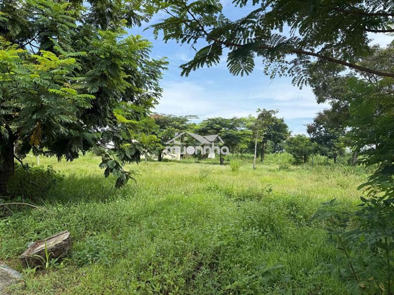 Đất đẹp có sổ- mặt tiền 16m - view công viên