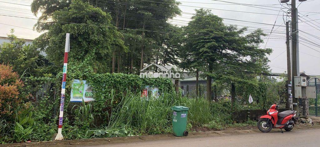 🏡 Bán đất thổ cư kèm vườn - hưng thịnh, trảng bom - 4
