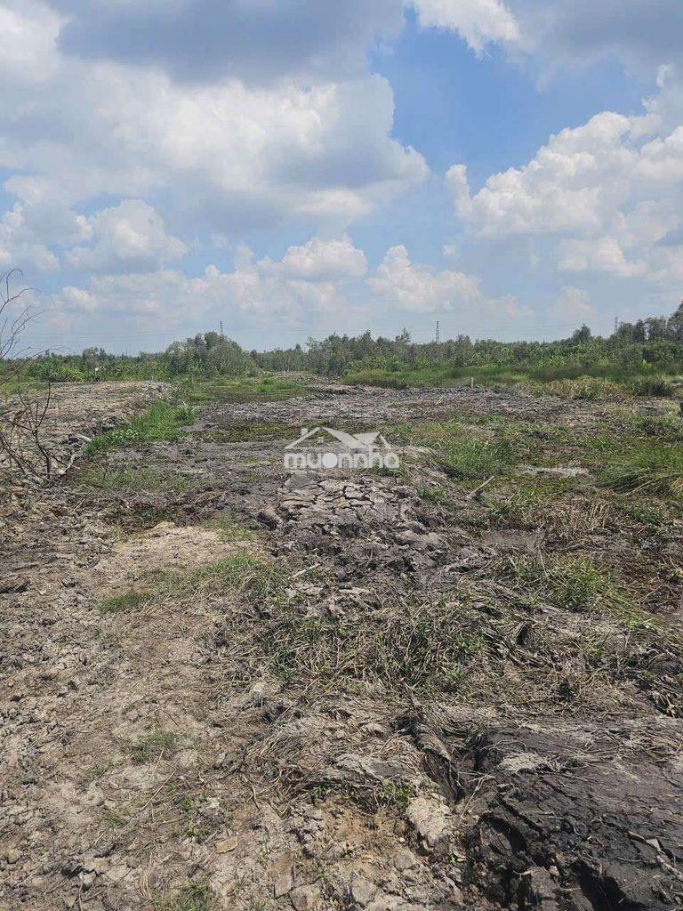 1.500m2 gần ub xã thái mỹ cũ - 4