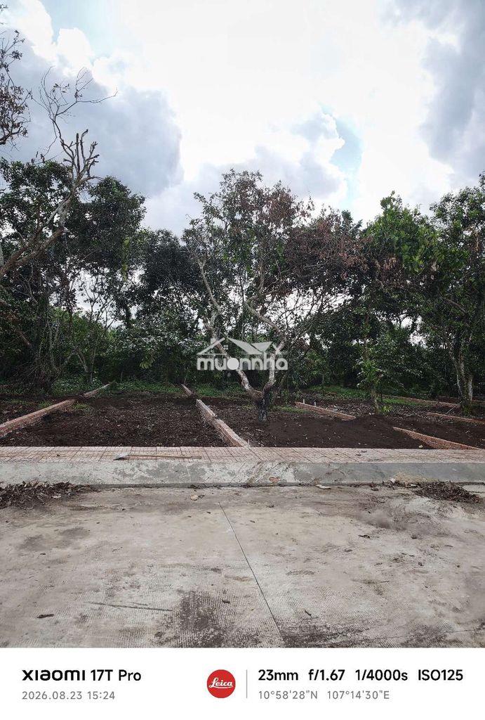 Đất nền bình lộc 135m2 sau lưng chợ bình lộc - Ảnh 3