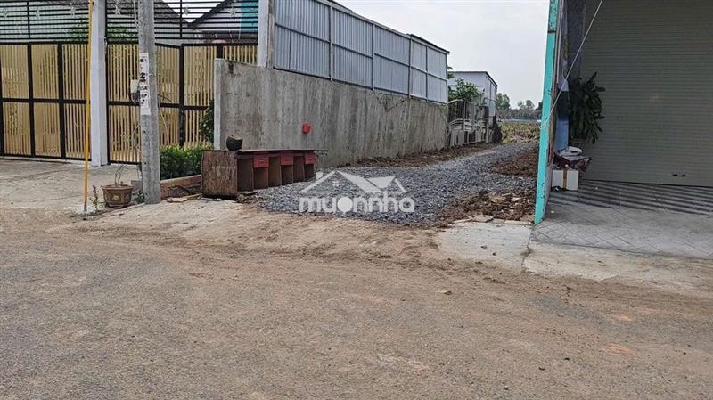 Bán đất cây lâu năm mặt tiền đường rừng sác, cần giờ