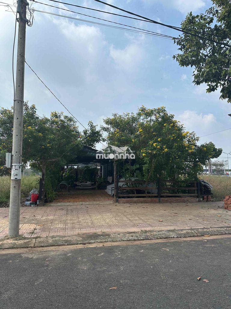 Bán đất nền biệt thự sát sân bay long thành, 100% full thổ cư - Ảnh 2