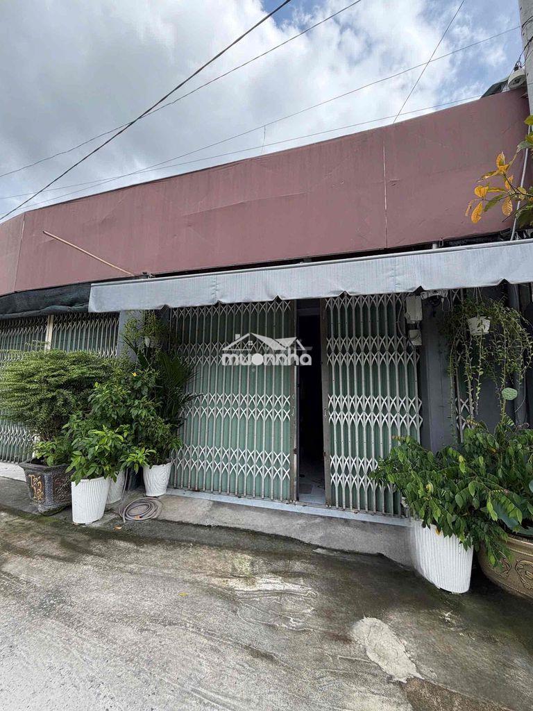Bán nhà 3 phòng ngủ, 2 mặt hẻm lớn đường xe tải - Ảnh 3