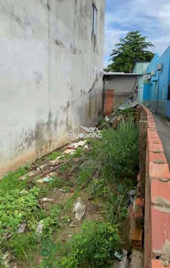 Bán đất vườn thơm, bình lợi, bình chánh, tp.hcm, công chứng vi bằng. - Ảnh 2