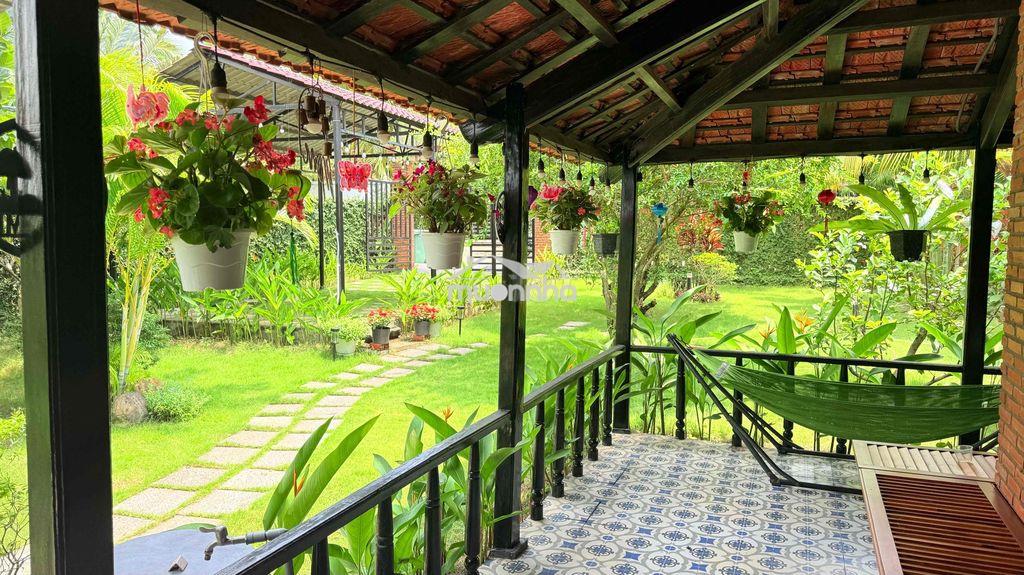 Nhà vườn trong khu đẹp hoài niệm - Ảnh 2