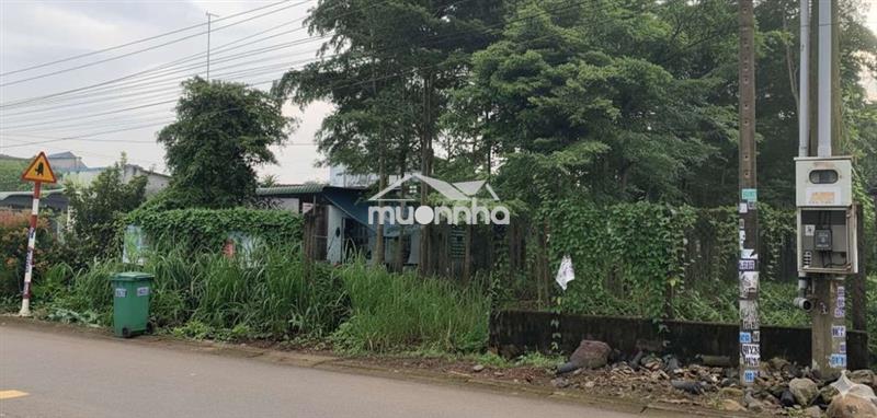 🏡 Bán đất thổ cư kèm vườn - hưng thịnh, trảng bom