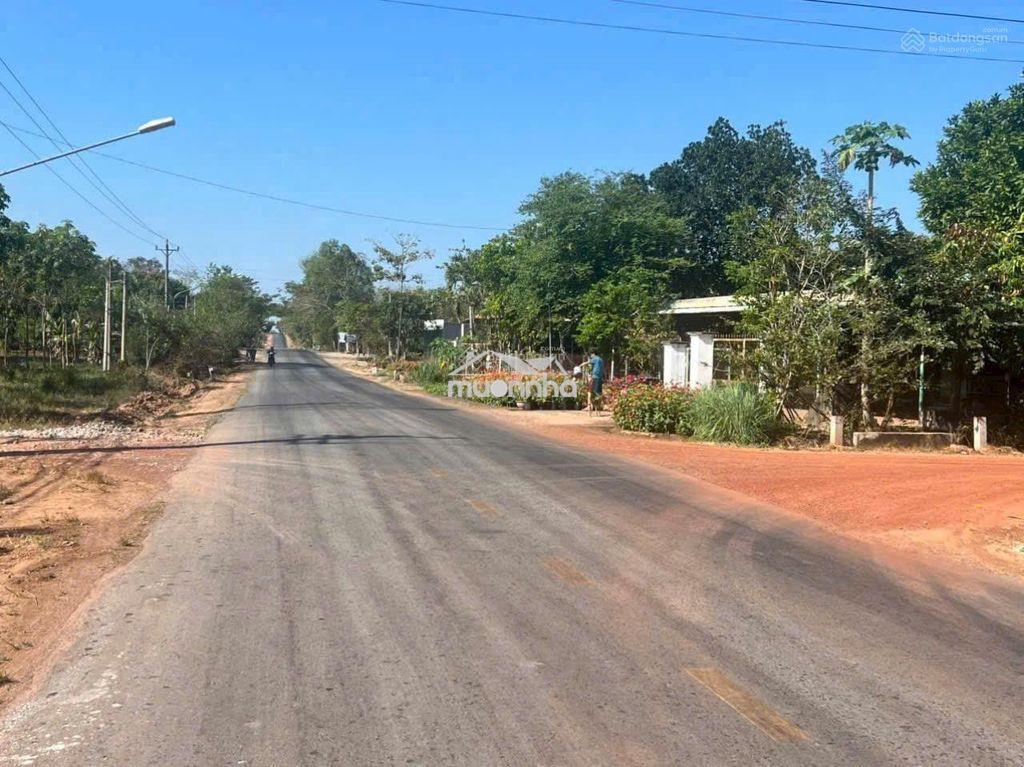 Thanh lý đất đồng phú, ngay cao tốc chơn thành-gia nghĩa,ngang15 - Ảnh 3
