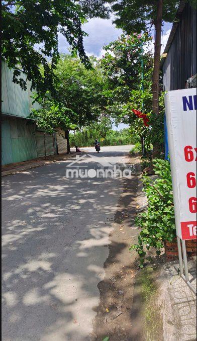 Bán đất mặt tiền đường 6m, gần chợ đầu mối, gần quốc lộ 13 - Ảnh 3