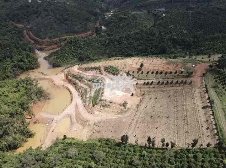 Em chính chủ đất nhà cần bán gấp 2.5ha đất rẫy có nhà view đẹp - Ảnh 2