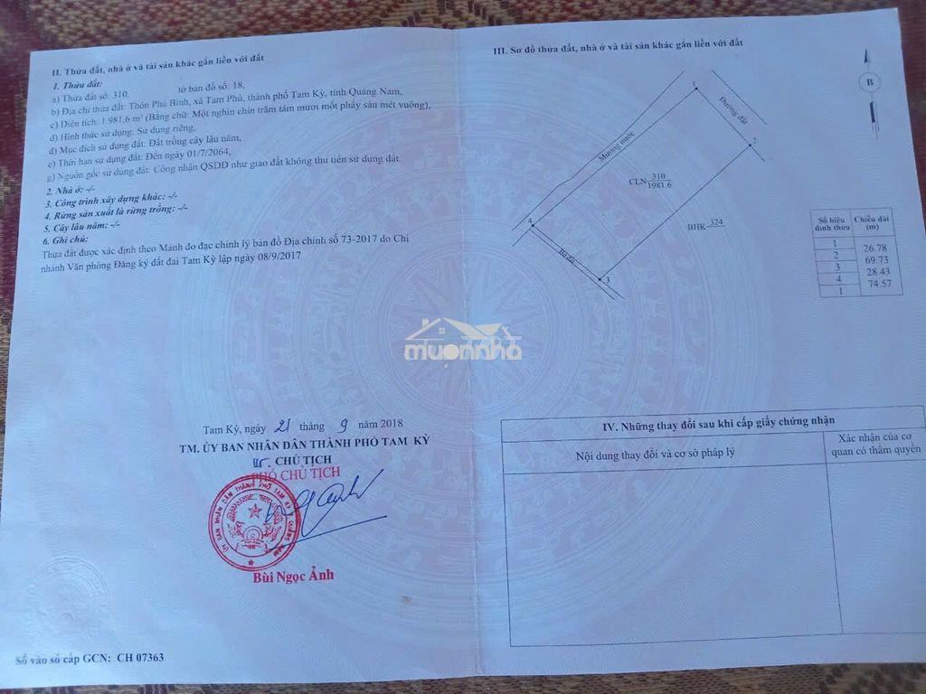 Bán đất 700m2 - Ảnh 4
