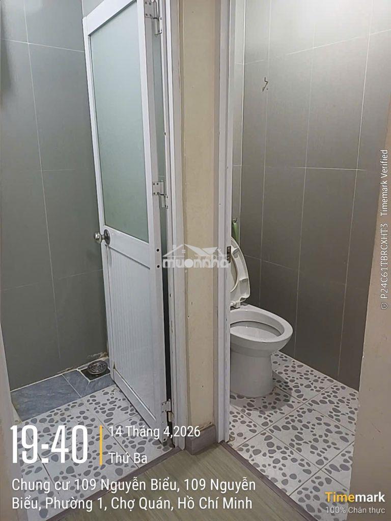 Chung cư 109 nguyễn biểu 61m2 2pn căn góc - Ảnh 2