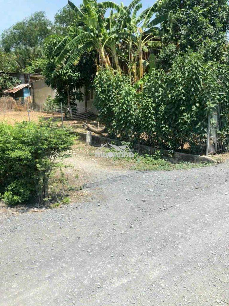 🏡 Đất phong phú – 115m² – giá 1,8 tỷ - Ảnh 3