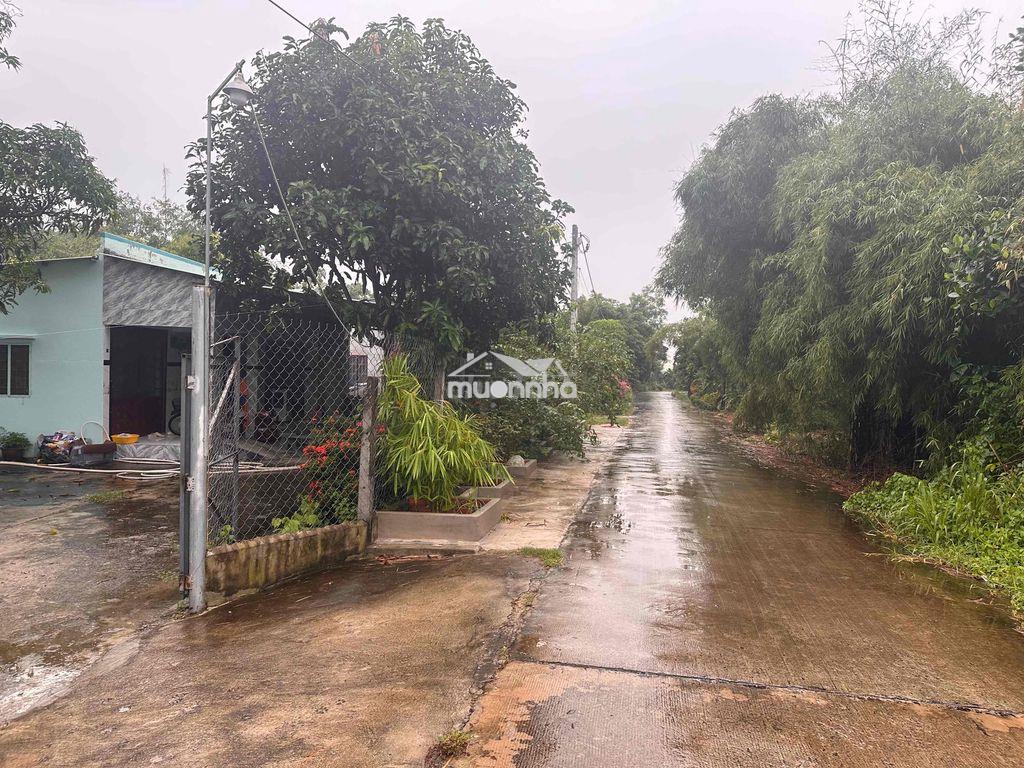 Cần bán đất luôn nhà như hình,tổng diện tích đất gần 500m2 - Ảnh 3