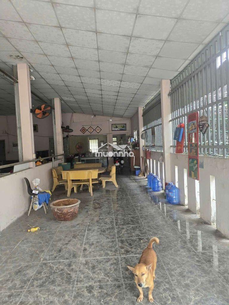 Bán đất tặng kho lô nhì đoàn nguyên tuân gần chợ hưng long 1387m - 3