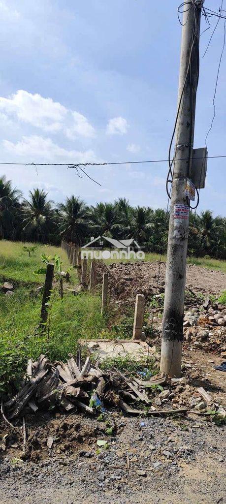 Đất mặt tiền đường nhựa giá rẻ - 2