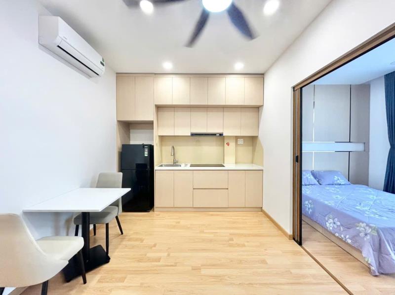 Cho thuê căn hộ tách bếp 1pn ngay tại chợ bà chiểu - bùi đình túy - bình thạnh - Ảnh 3