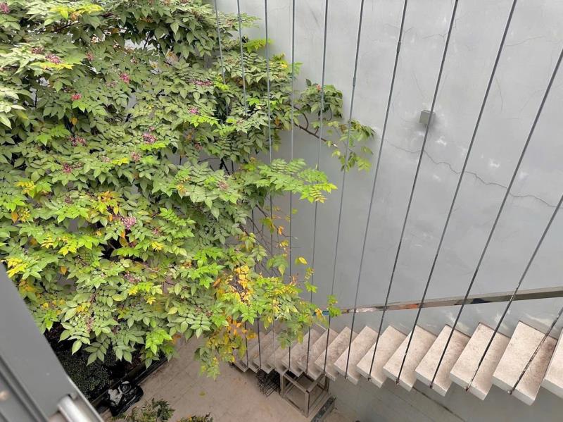 💥Cho thuê chdv 1pn ban công - siêu rộng 60m2 - full nội thất💥 - Ảnh 4