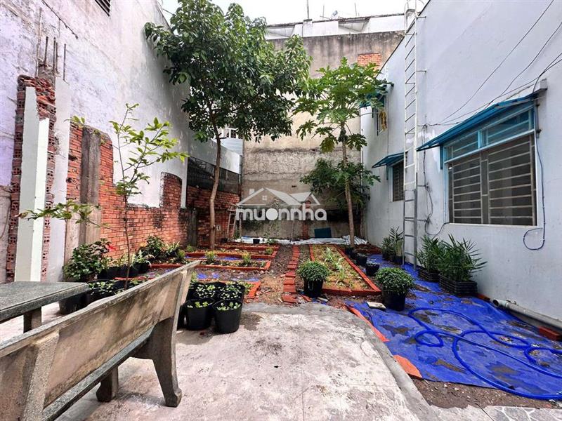 Chính chủ cho thuê nhà có sân có vườn