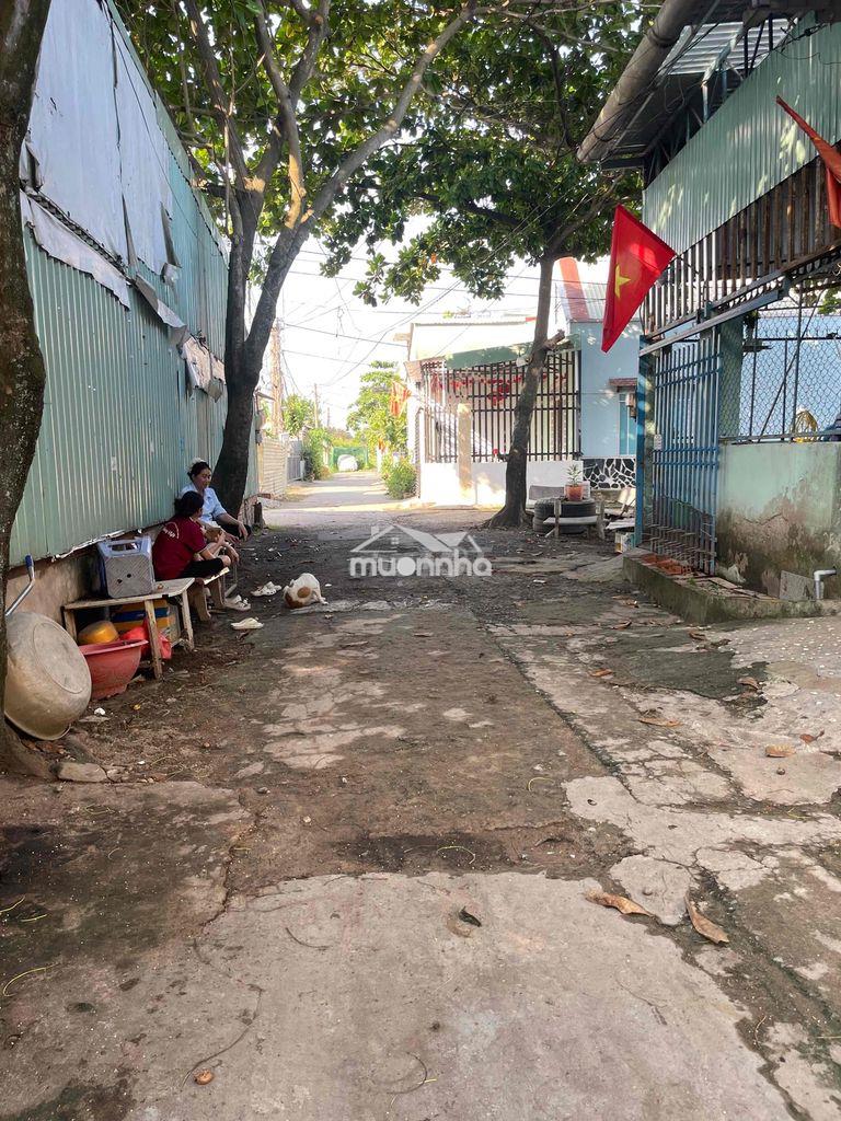 Cho thuê nhà nguyên căn mới xây - Ảnh 2