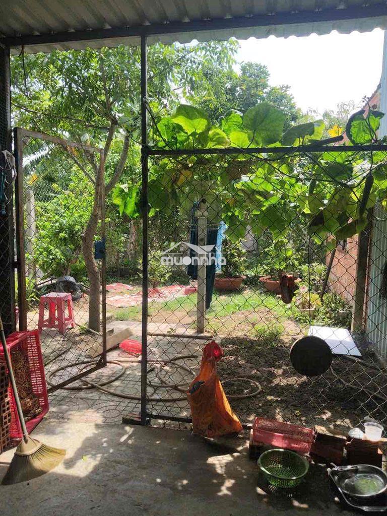 Đất nhà xưởng 5mx22m - Ảnh 4